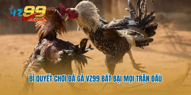 Bí quyết chơi đá gà Vz99 bất bại mọi trận đấu